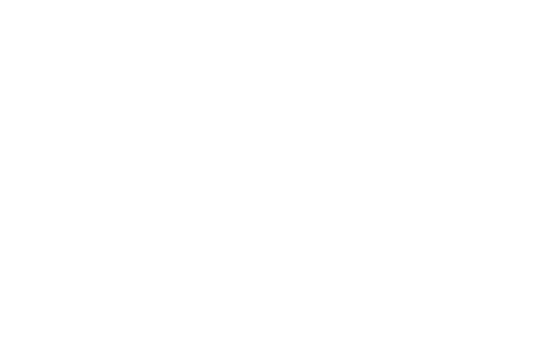 Boozer's Bar Logo